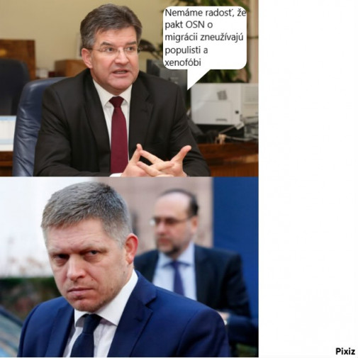 názorova pluralita v smere